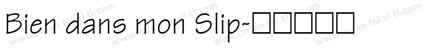 Bien dans mon Slip字体转换